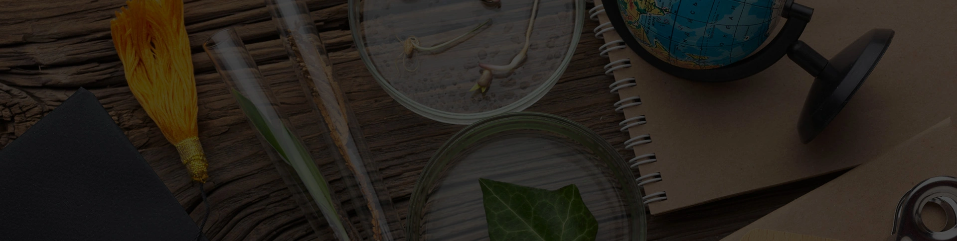 About Us Header