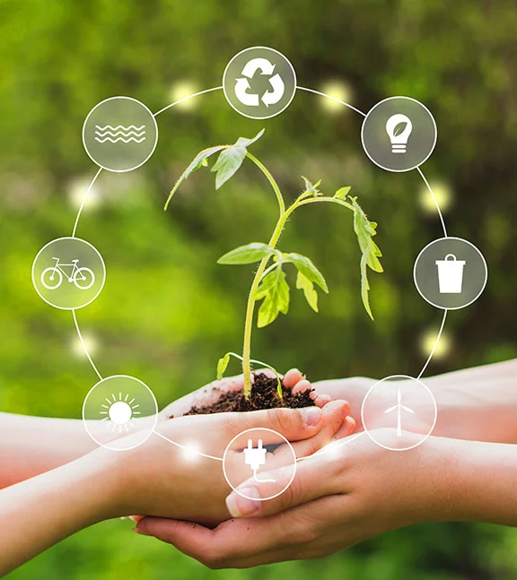 iFOREST Academy Overview